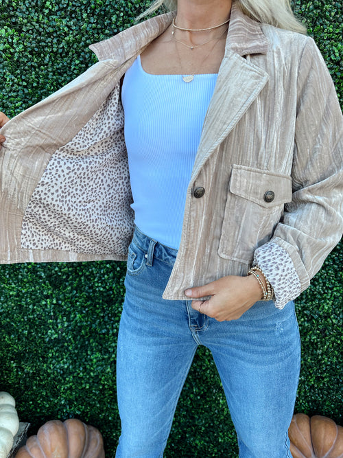 Velvet Short Jacket