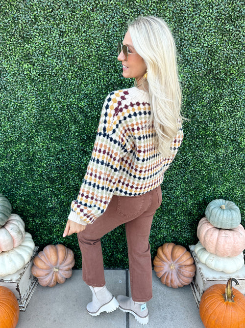 Multicolor Crew Knit Sweater