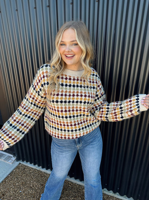 Multicolor Crew Knit Sweater