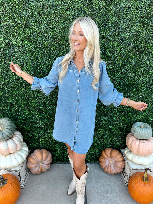 Button Down Denim Dress