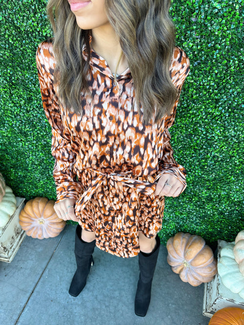 Animal Print Shirt Dress