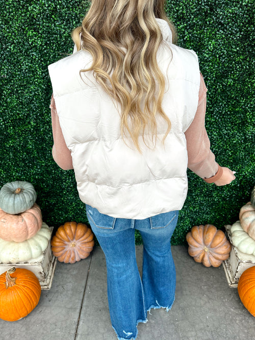 Zip Up Puffer Vest